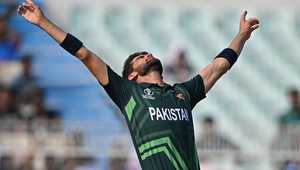 这些进步 这些进步